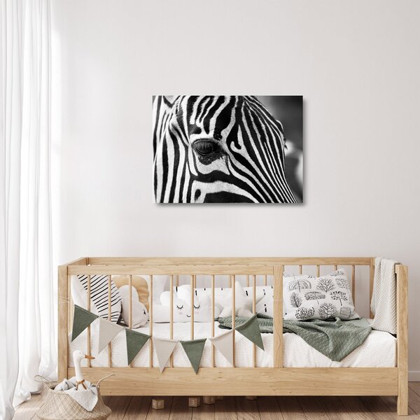 Staklena slika zebre (70x50 cm)