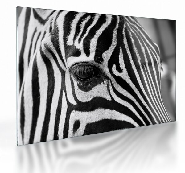 Staklena slika zebre (70x50 cm)