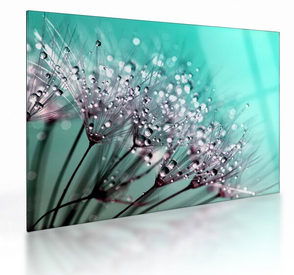 Staklena slika - rosna biljka (70x50 cm)