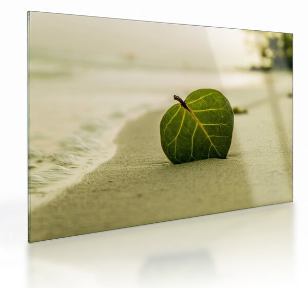 Staklena slika lista u pijesku (70x50 cm)