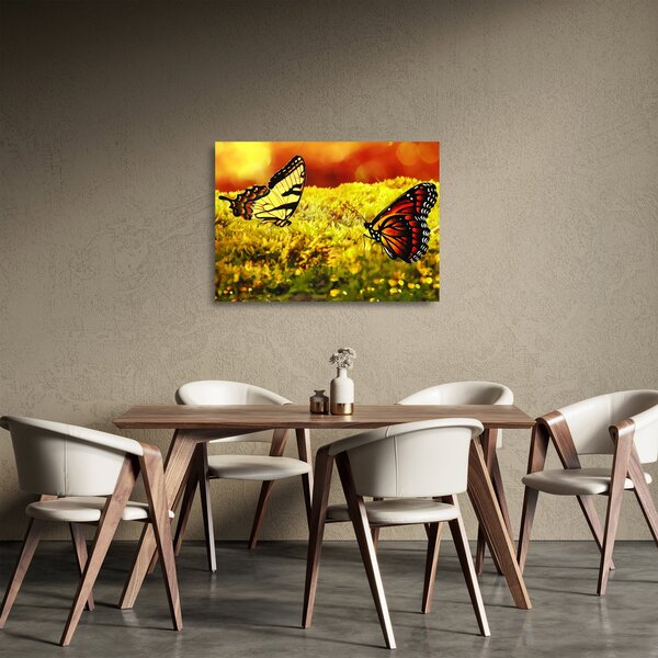 Staklena slika leptira (70x50 cm)