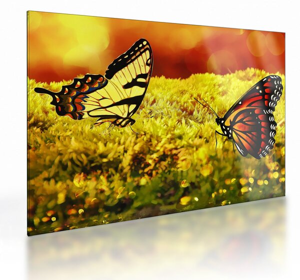 Staklena slika leptira (70x50 cm)