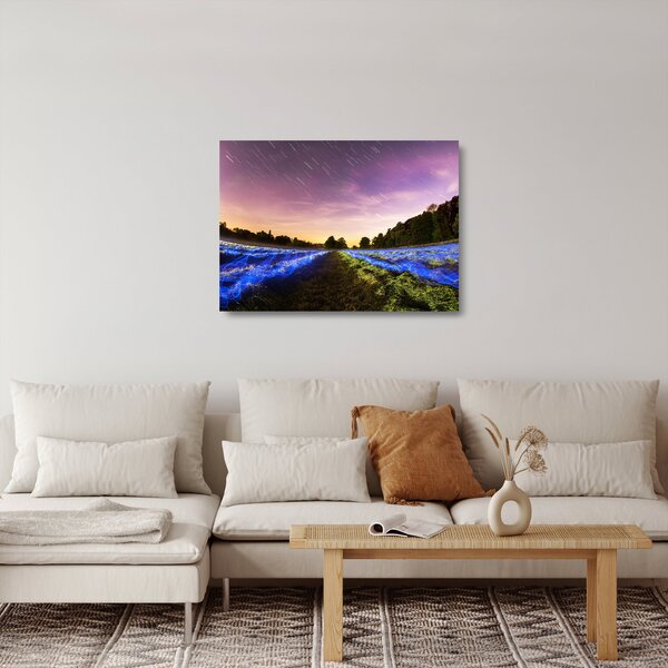 Staklena slika polja u boji (70x50 cm)