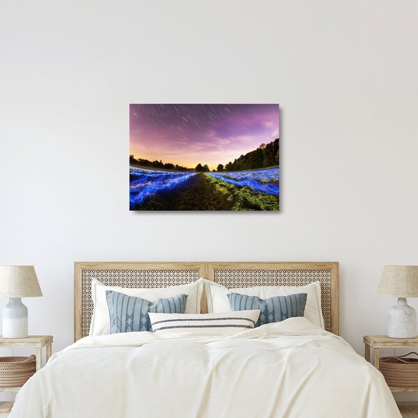 Staklena slika polja u boji (70x50 cm)