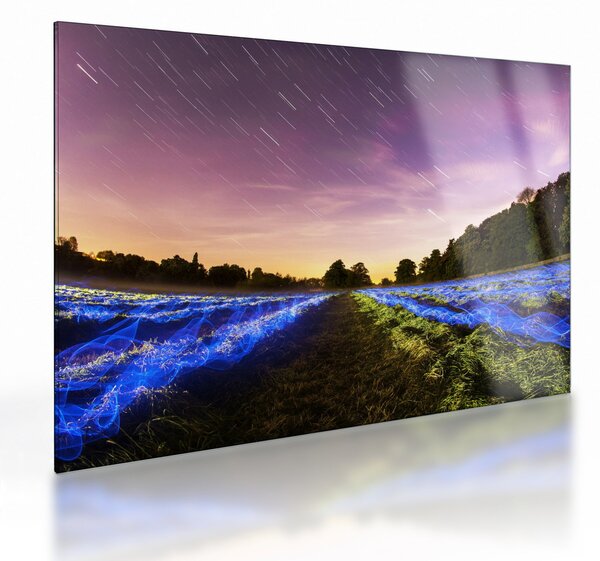 Staklena slika polja u boji (70x50 cm)