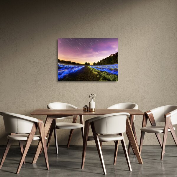 Staklena slika polja u boji (70x50 cm)