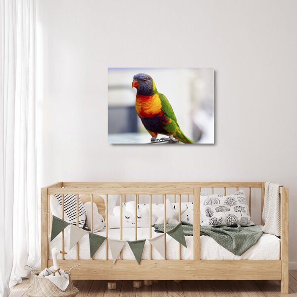 Staklena slika papige (70x50 cm)