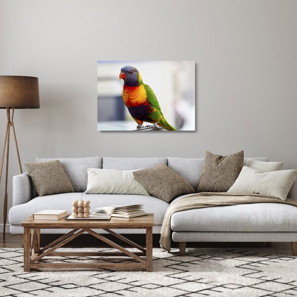 Staklena slika papige (70x50 cm)