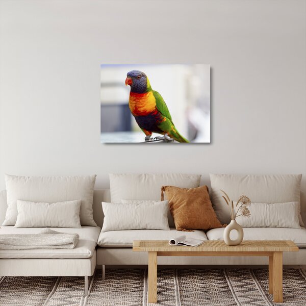 Staklena slika papige (70x50 cm)