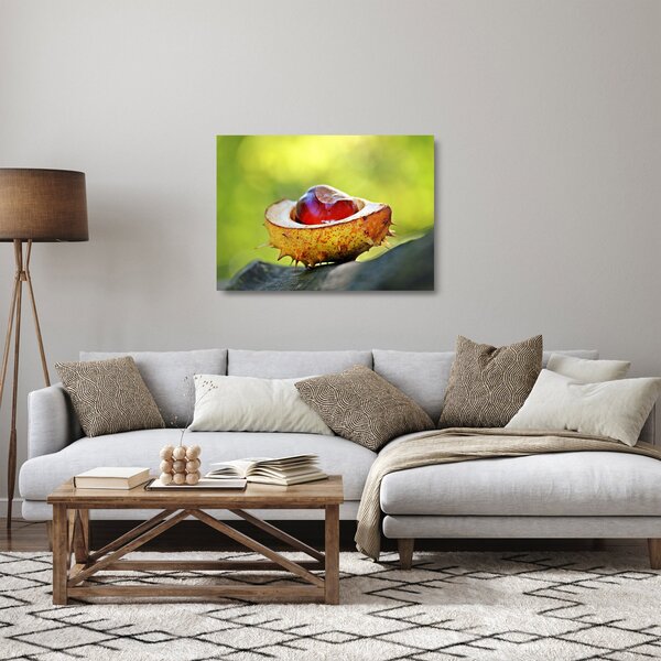 Staklena slika kestena (70x50 cm)