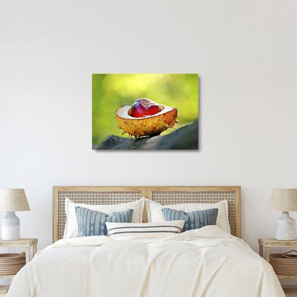 Staklena slika kestena (70x50 cm)