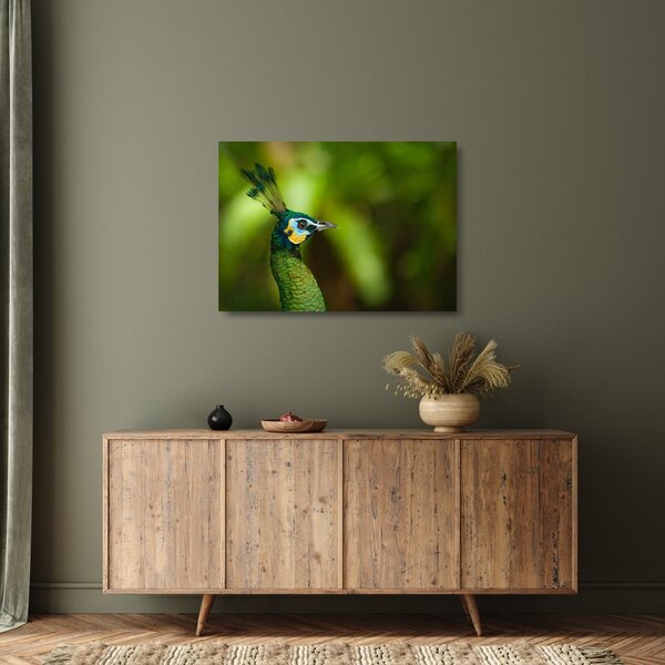 Staklena slika pauna (70x50 cm)