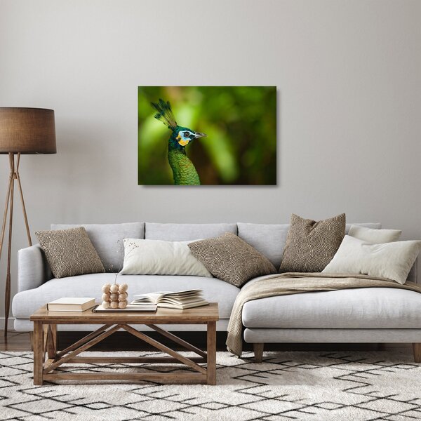 Staklena slika pauna (70x50 cm)