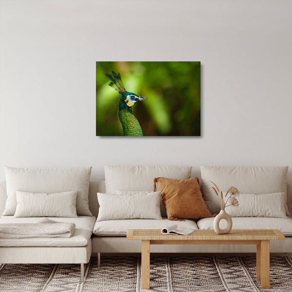 Staklena slika pauna (70x50 cm)