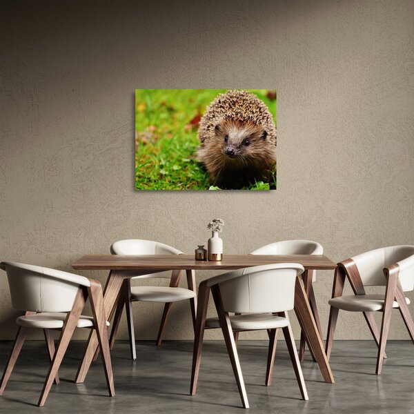 Staklena slika ježa (70x50 cm)