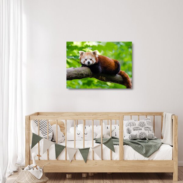 Staklena slika crvene pande (70x50 cm)