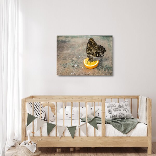 Staklena slika leptira (70x50 cm)