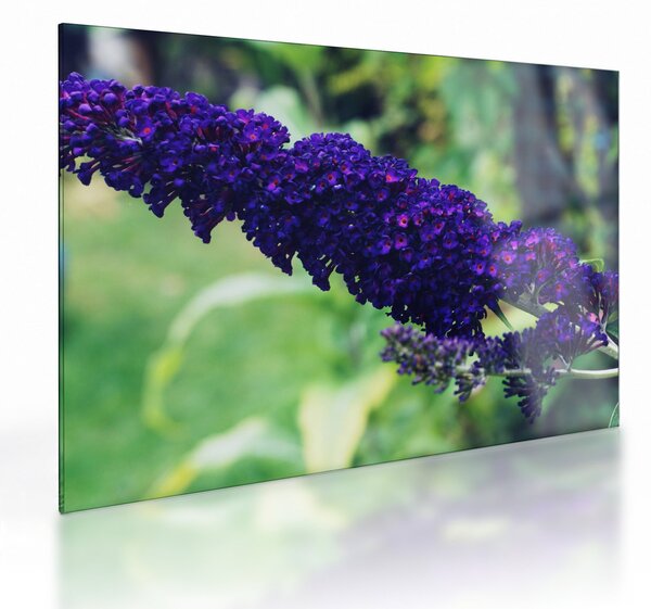 Staklena slika plavog cvijeta (70x50 cm)