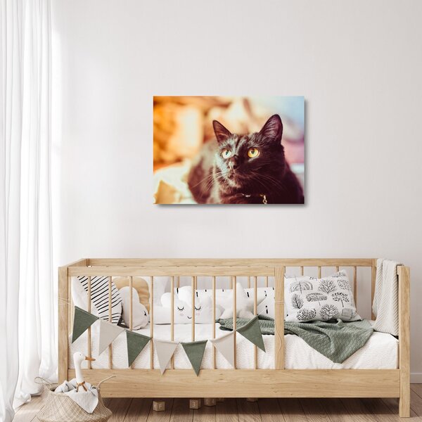 Staklena slika crne mačke (70x50 cm)