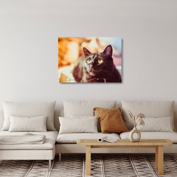 Staklena slika crne mačke (70x50 cm)