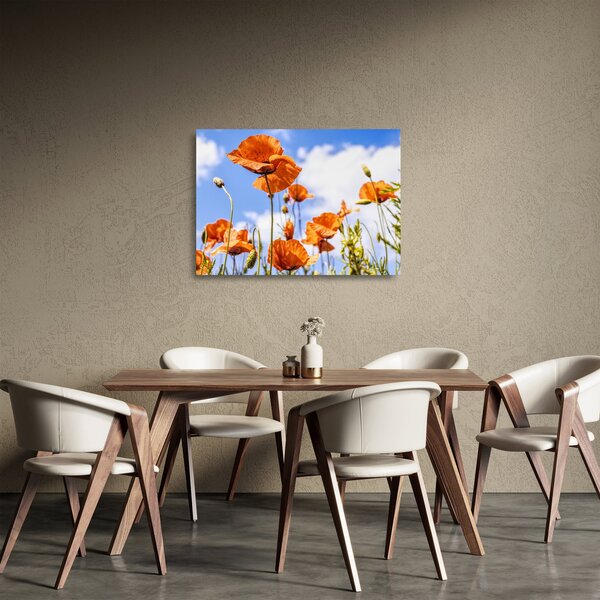 Staklena slika maka (70x50 cm)