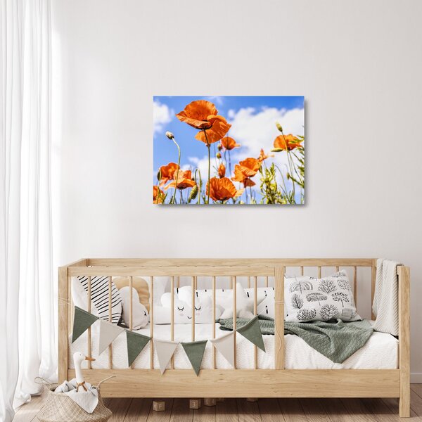 Staklena slika maka (70x50 cm)