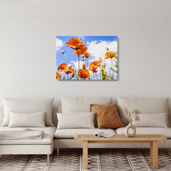 Staklena slika maka (70x50 cm)