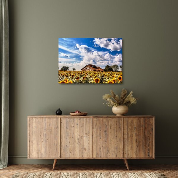 Staklena slika polja suncokreta (70x50 cm)