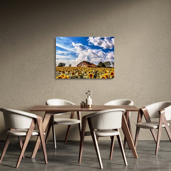 Staklena slika polja suncokreta (70x50 cm)
