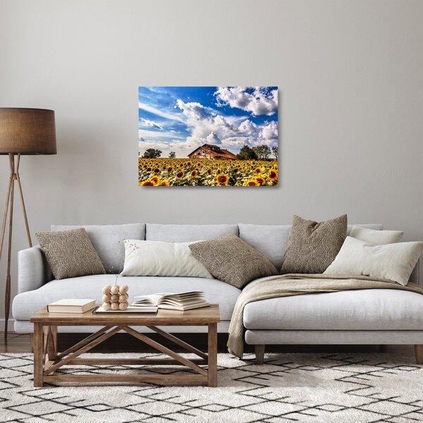 Staklena slika polja suncokreta (70x50 cm)