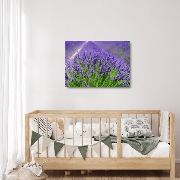 Staklena slika - lavanda (70x50 cm)