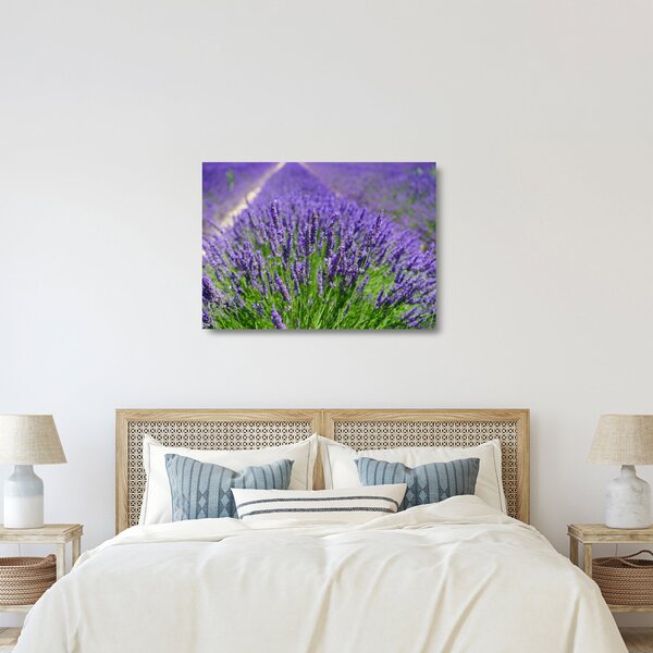 Staklena slika - lavanda (70x50 cm)