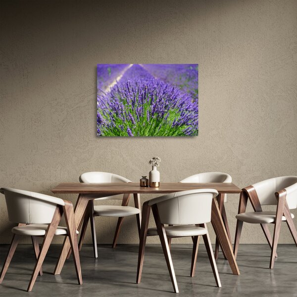 Staklena slika - lavanda (70x50 cm)