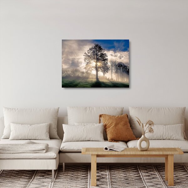 Staklena slika drveta u magli (70x50 cm)