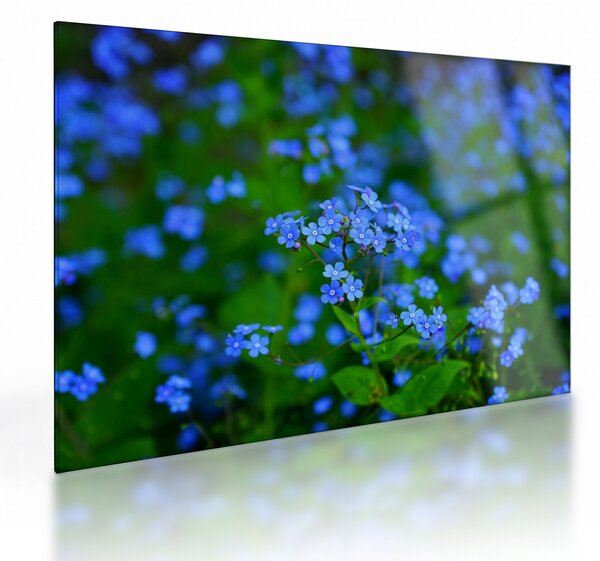 Staklena slika plavog cvijeća (70x50 cm)