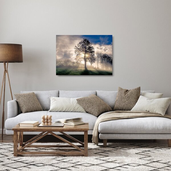 Staklena slika drveta u magli (70x50 cm)