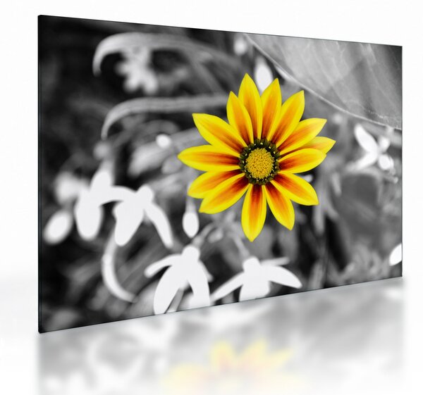 Staklena slika žutog cvijeta (70x50 cm)