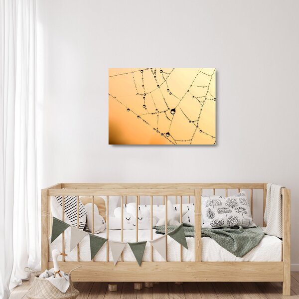 Staklena slika rosne paučine (70x50 cm)