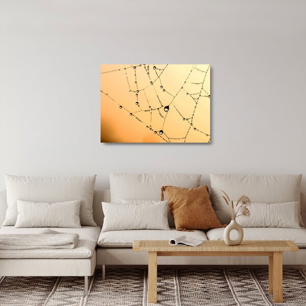 Staklena slika rosne paučine (70x50 cm)