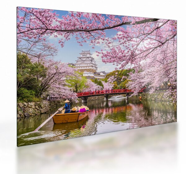 Staklena slika japanske trešnje (70x50 cm)