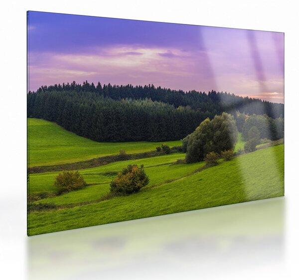 Staklena slika livade (70x50 cm)
