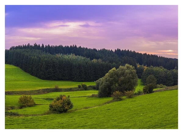Staklena slika livade (70x50 cm)