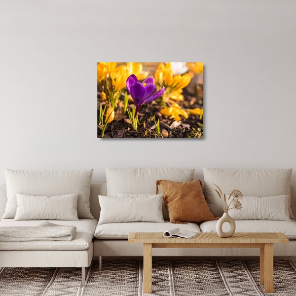 Staklena slika ljubičastog cvijeta (70x50 cm)
