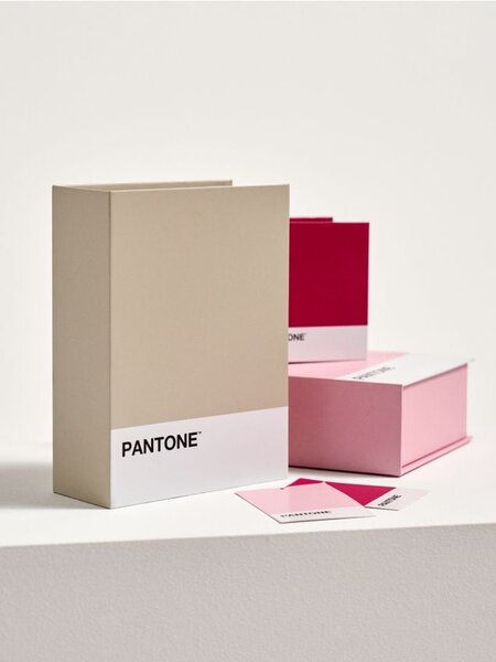 Sinsay - Kutija za pohranu Pantone