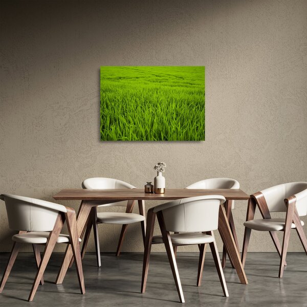 Staklena slika trave (70x50 cm)