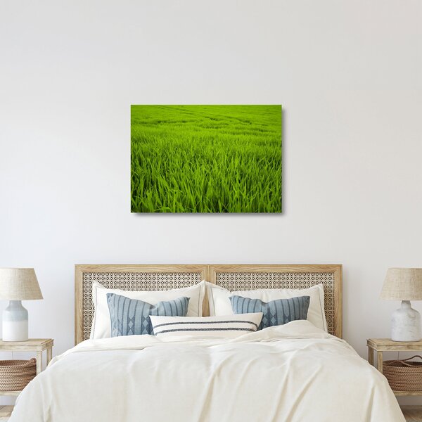 Staklena slika trave (70x50 cm)