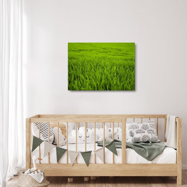 Staklena slika trave (70x50 cm)