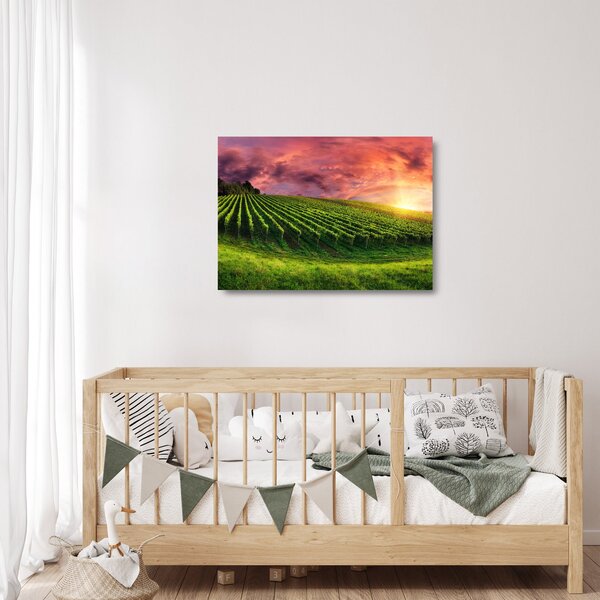 Staklena slika vinograda s obojenim nebom (70x50 cm)