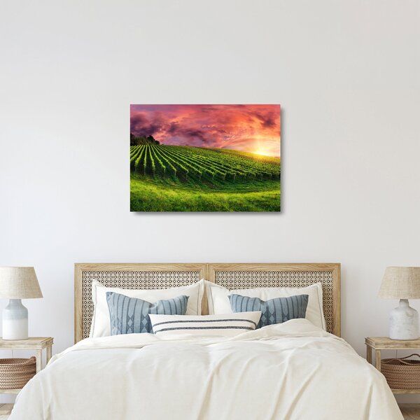 Staklena slika vinograda s obojenim nebom (70x50 cm)