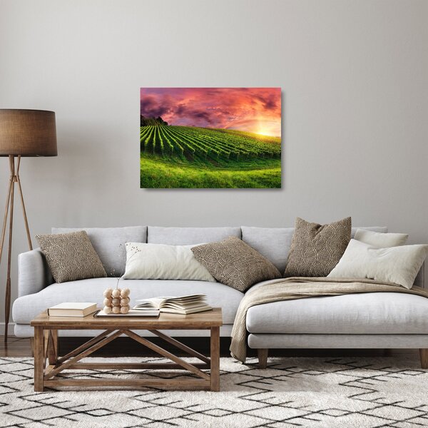 Staklena slika vinograda s obojenim nebom (70x50 cm)